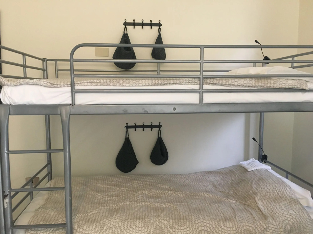 The Beehive Hostel