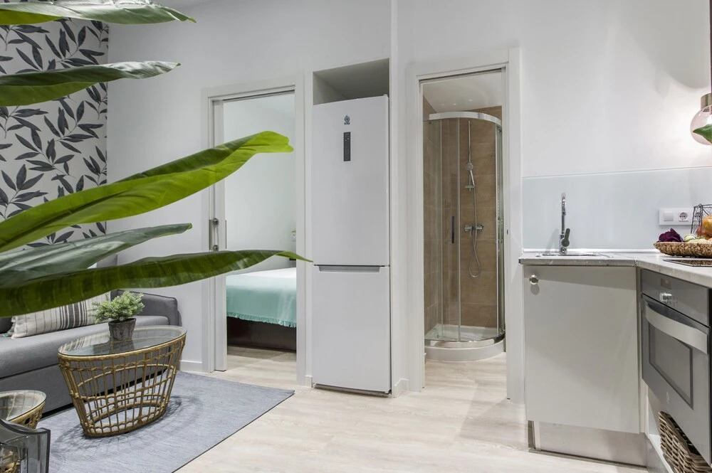 Apartamento Malasaña IV
