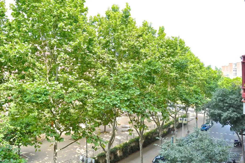 Auditori Barcelona