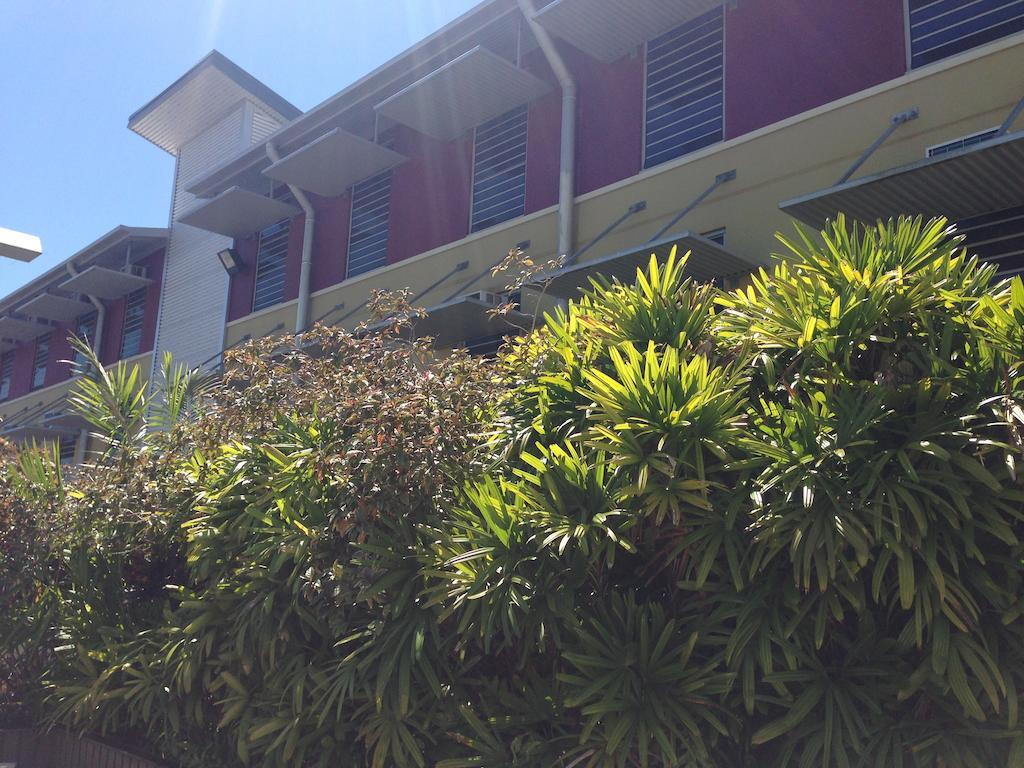 Melaleuca On Mitchell