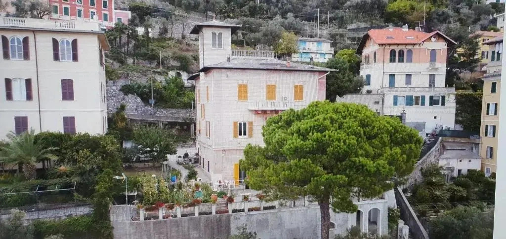 Affittacamere Villa Orchidea