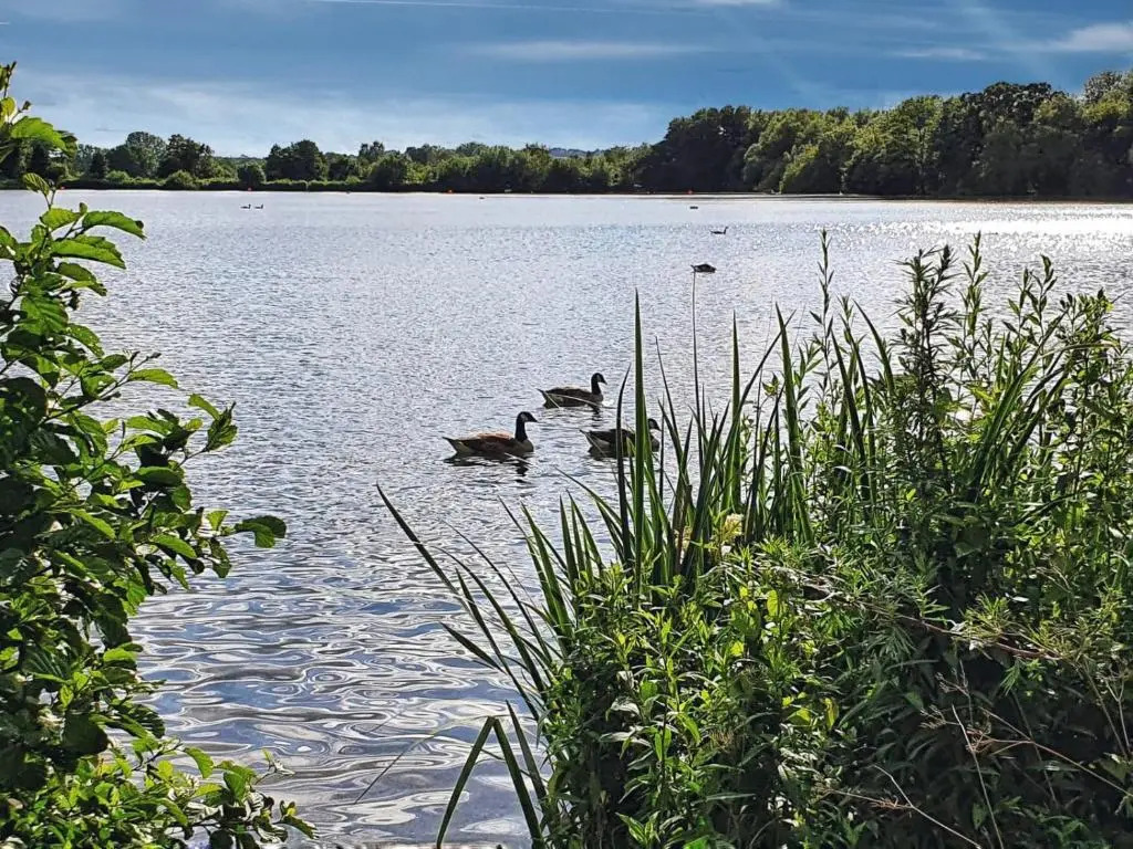 Lee Valley Lodge
