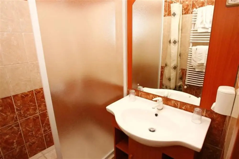 Art Hotel superior