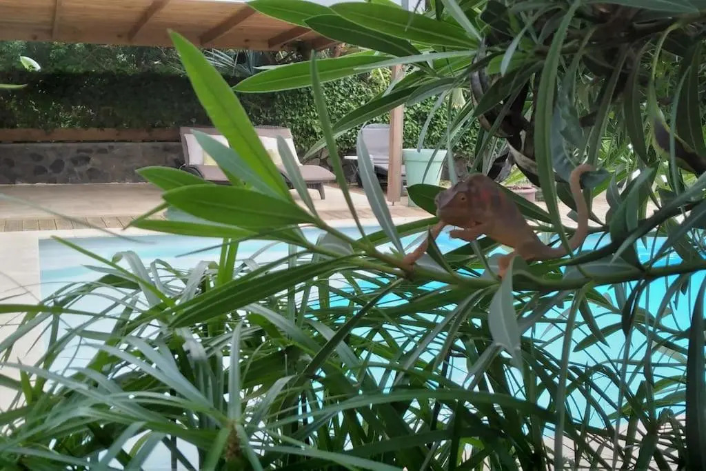 Villa Baies Roses