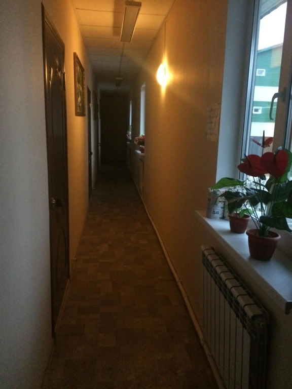 Фламинго