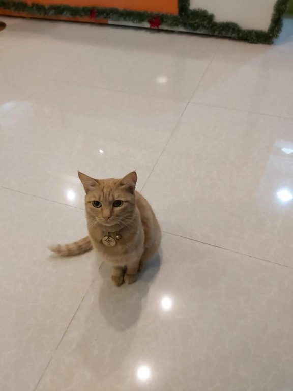 Duy Hotel