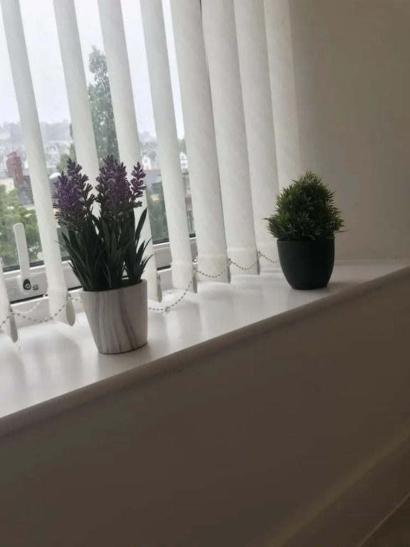 Luxury City Apartment