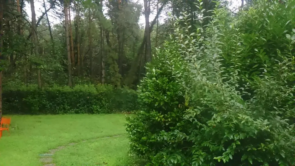 l'oasi nel bosco