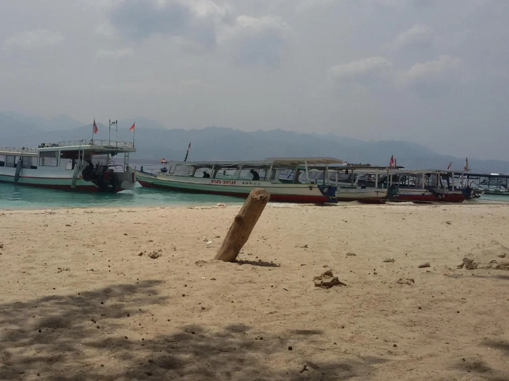 Beach Box Bungalow