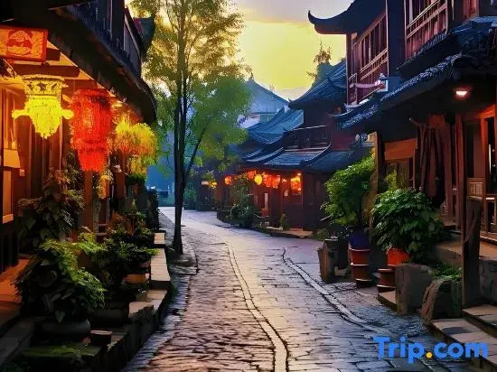 Shixu Meisu Whole House Smart Hotel (the Old Town of Lijiang Bailong Plaza Store)