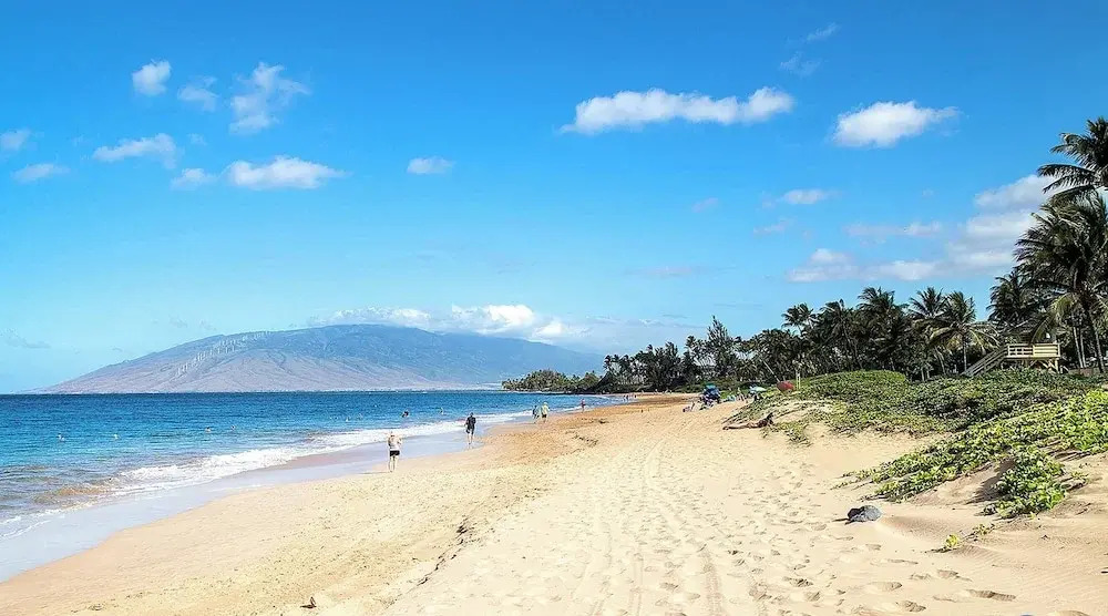 Maui Vista 3-102 - Updated, Ground Level, Steps to the Pool, Walk to Everything!