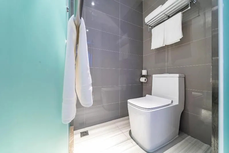 Hanting Premium Hotel Shanghai Xinzhuang Business Center