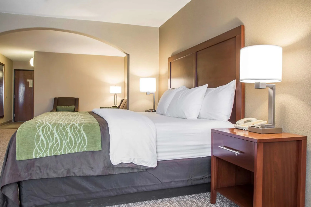 Comfort Inn Edinburg South