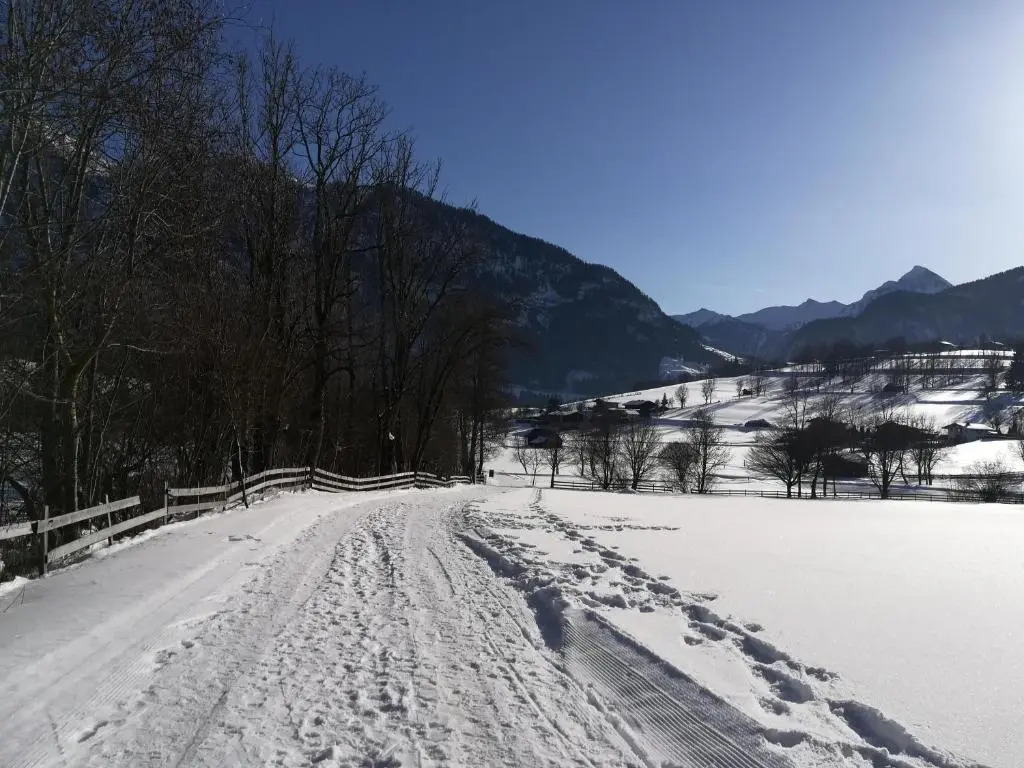 Apartment Alpenpanorama