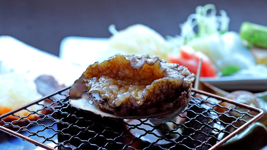 Kumomi Onsen Kagoya