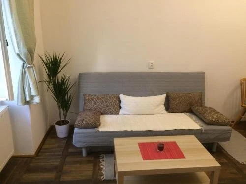 Apartment Ujezd