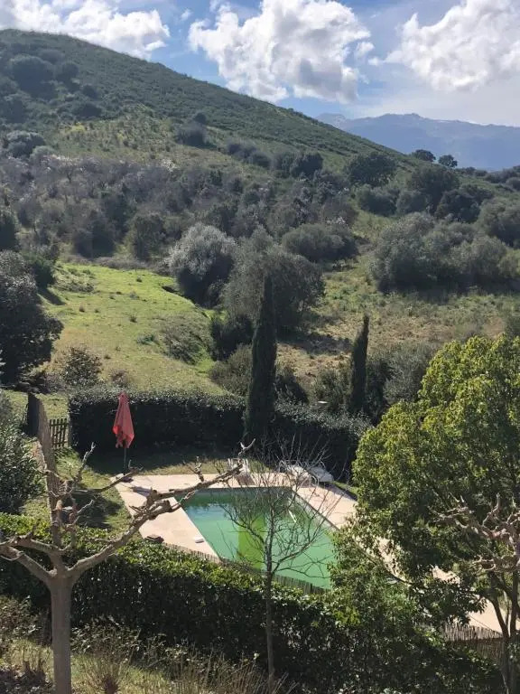 Oliera 2
