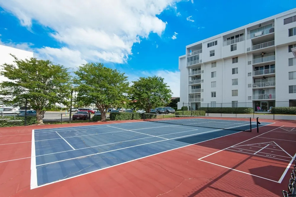Dolphin Point #406c