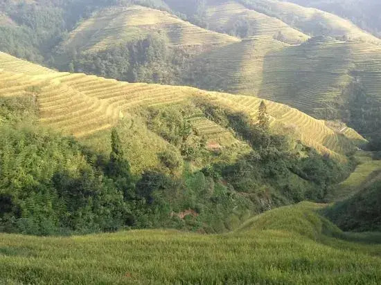 Longji Leyuan Hotel