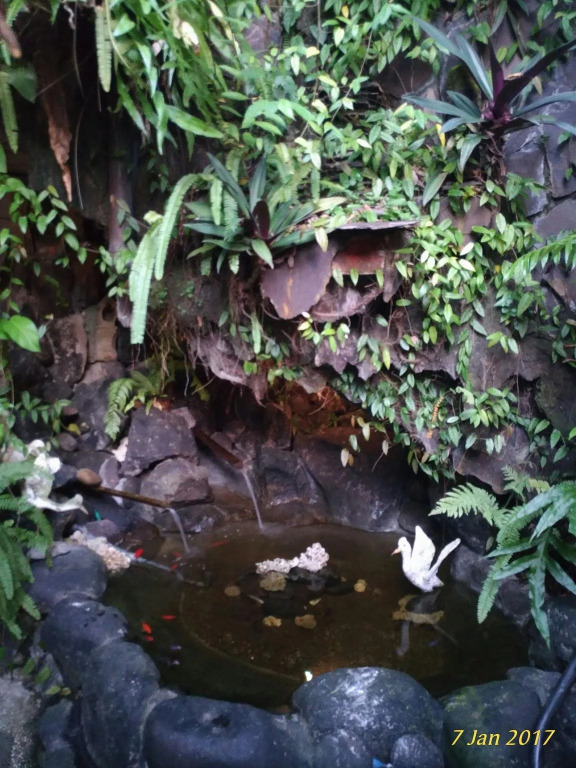 Praety Home Stay