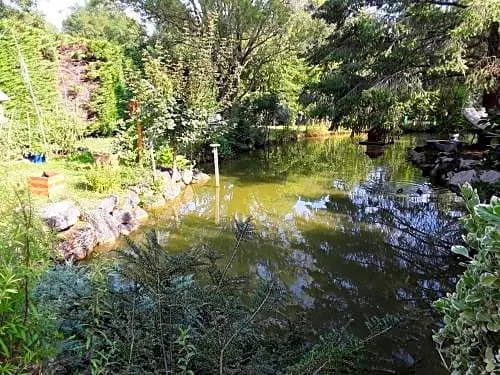 La mare aux canards