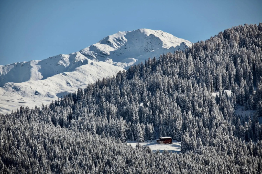 New renovated apartment in center of Davos