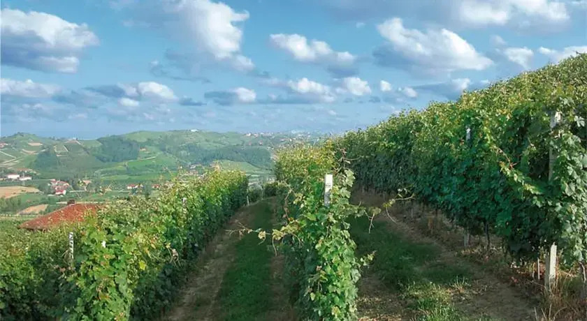 Cantina Monpissan