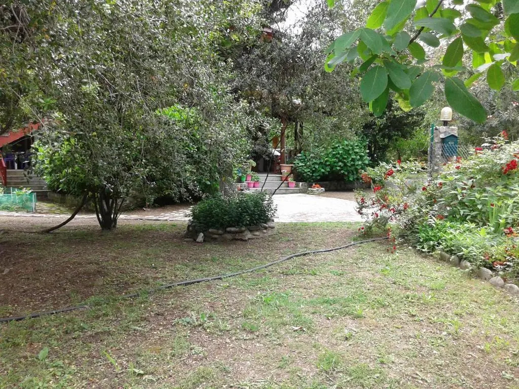 Akamatis Giorgos