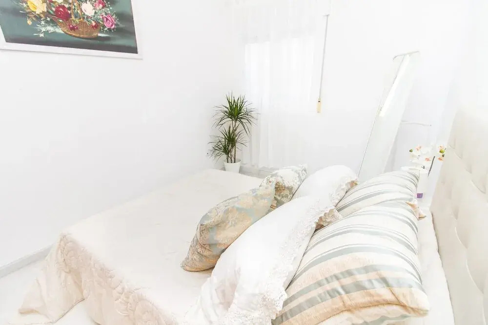 Cool 1 Bedroom Apartment Capuchinos