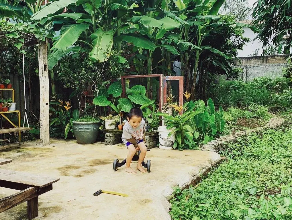 Vườn chuối homestay