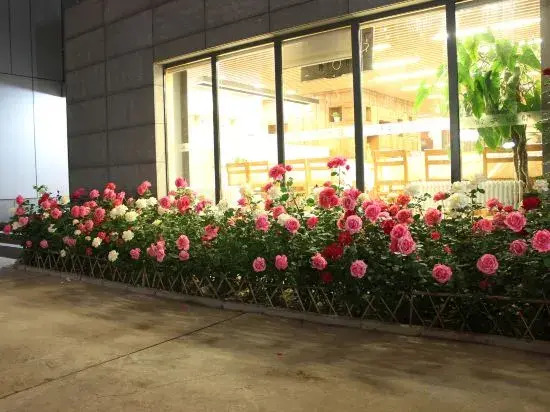Hanting Hotel Beijing Zhongguancun National Library Subway Station