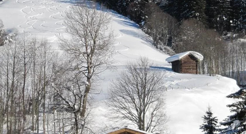 Haus Tannenblick