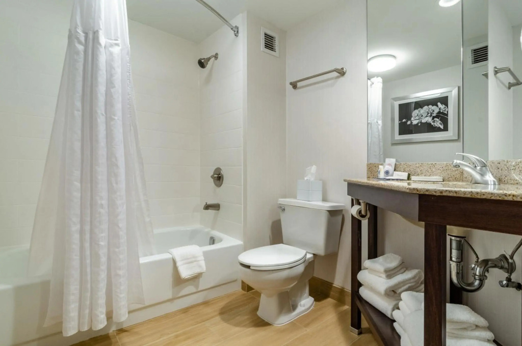 Comfort Inn Raleigh Midtown