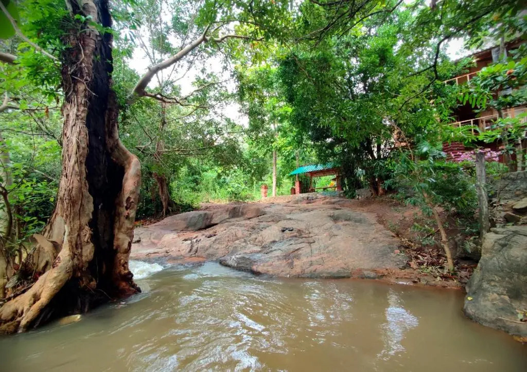 Sigiriya River Side Villa