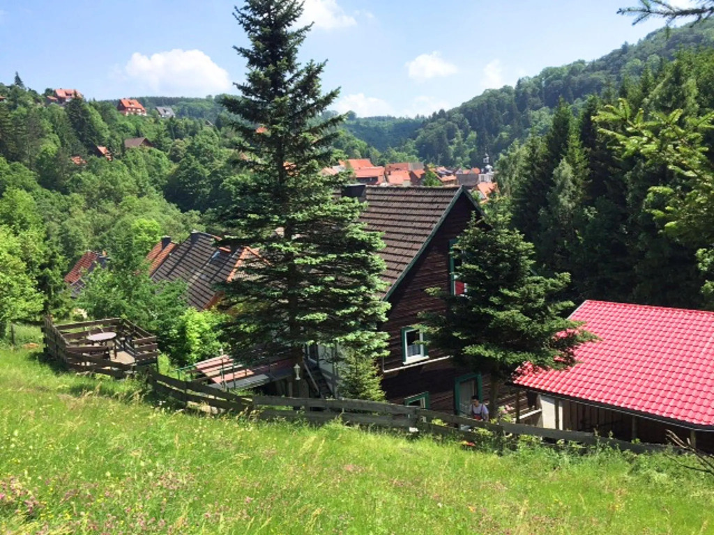 Beautiful apartment in the romantic Bode Gorge directly on the edge of the forest with fireplace