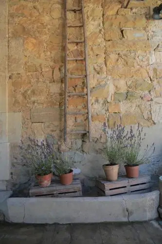 Les Yourtes de Provence
