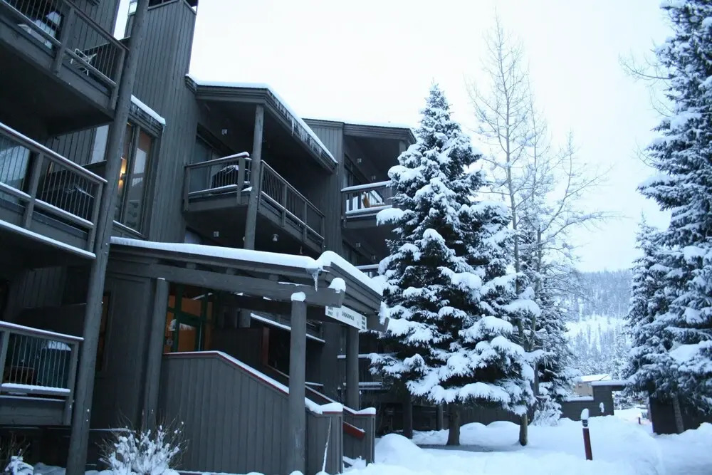 Lodgepole 2011