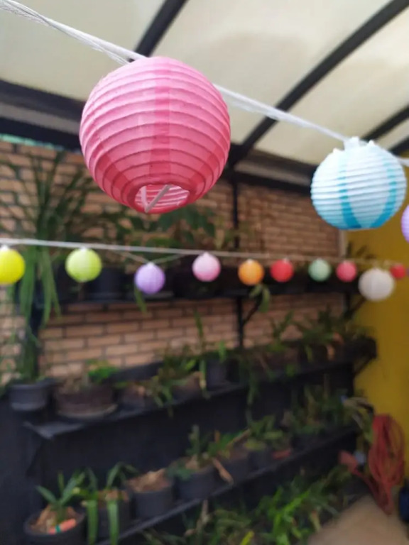 Hostel Ipê
