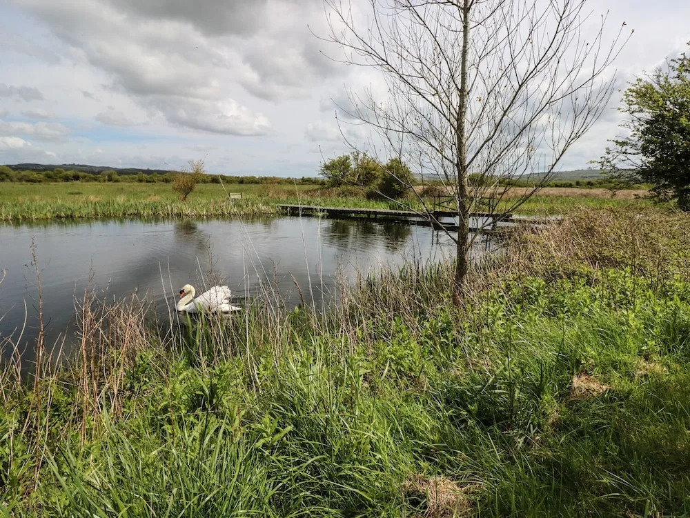 Lakelands, Burry Port