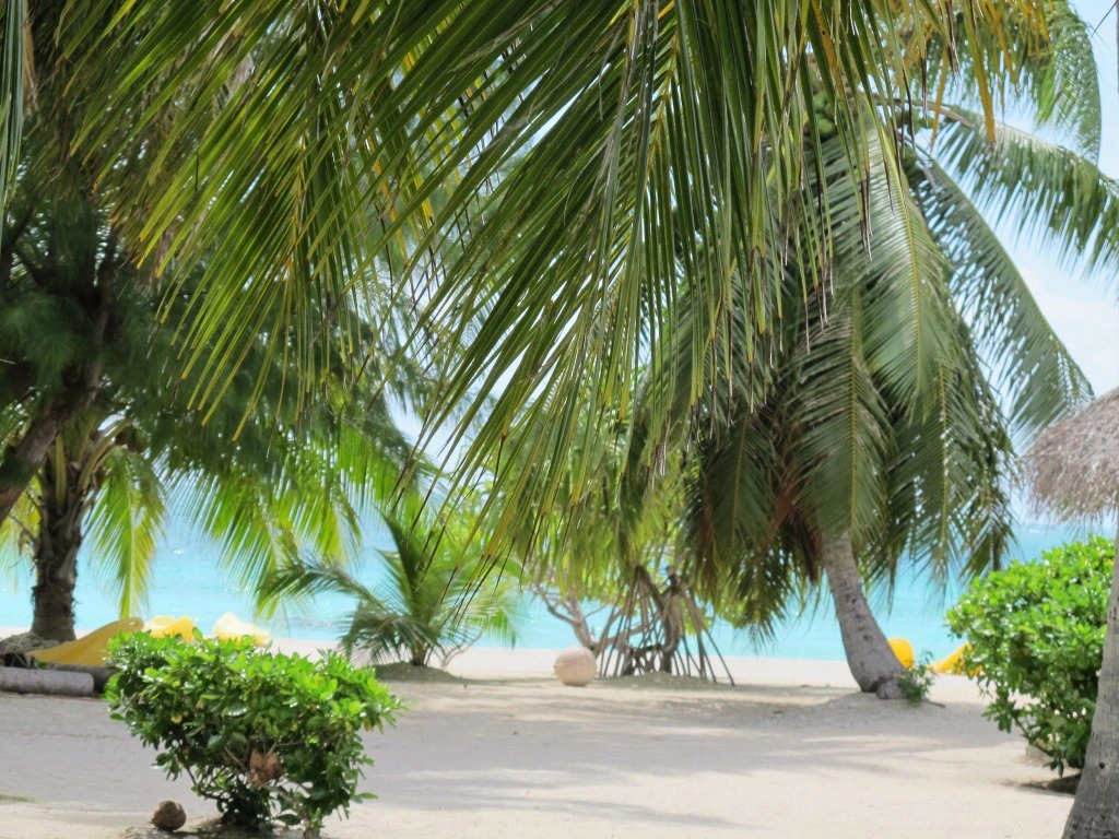 Pension Hotu