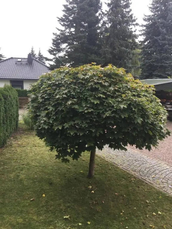Ferienwohnung Chemnitz-Rabenstein