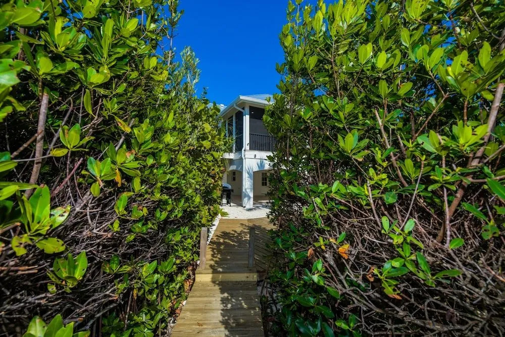 Pelican's Nest