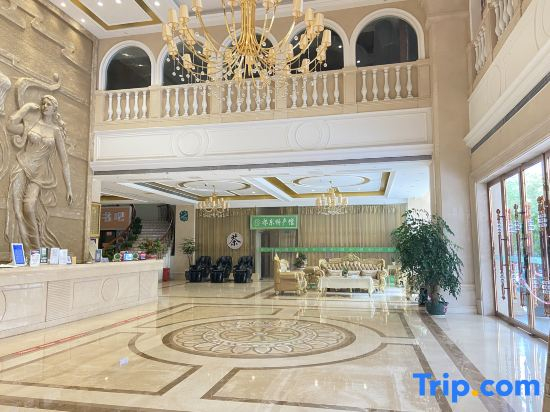 Vienna Hotel (Qidong New Area)