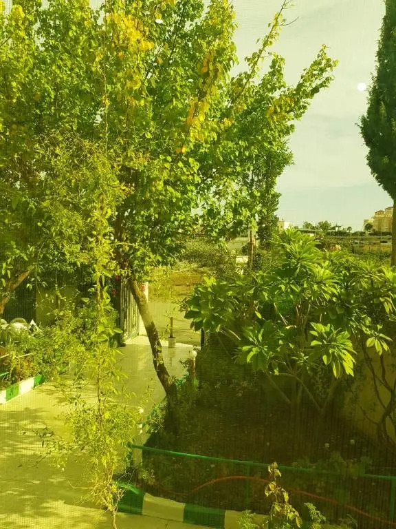 الركائز للشقق المخدومة