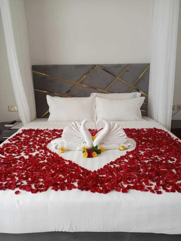 The Voice Hotel