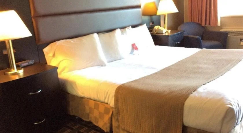Lotus by Hotel Inn