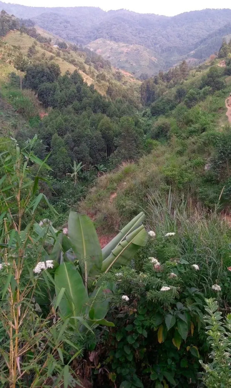 Karangura trekkers eco camp