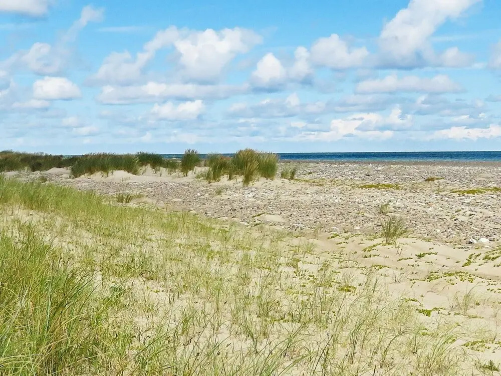 7 Person Holiday Home in Fjerritslev