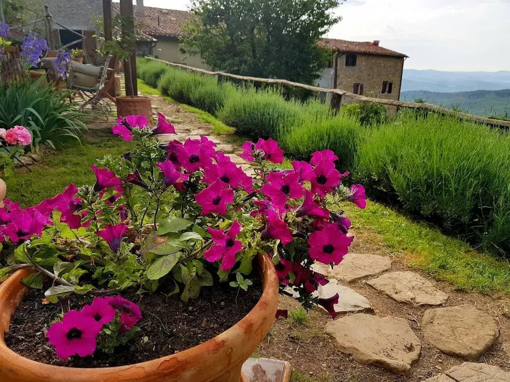 Agriturismo La Colombella