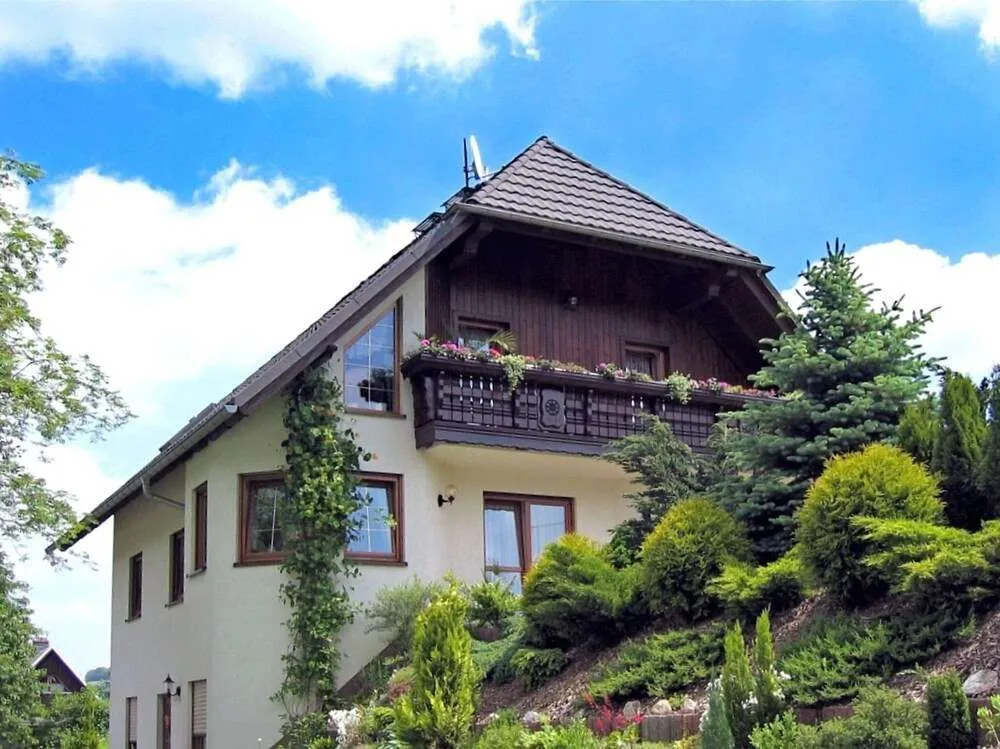 Beautiful Apartment in Pohla Saxony near Ski Area